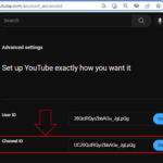 YouTube-channelID-in-browser-2-1